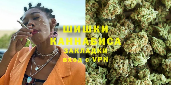 молекула духа Ельня