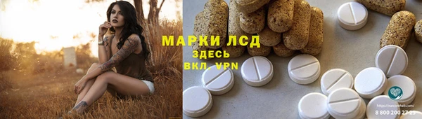 PSILOCYBIN Дмитров