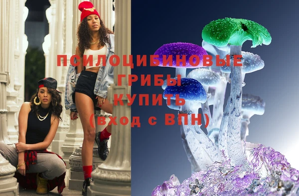 spice Гусиноозёрск