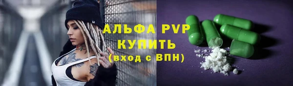 хмурый Дмитриев