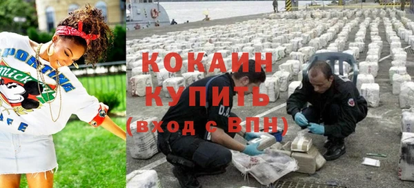 сатива Гусев