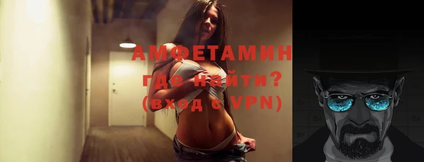 ПСИЛОЦИБИНОВЫЕ ГРИБЫ Вяземский