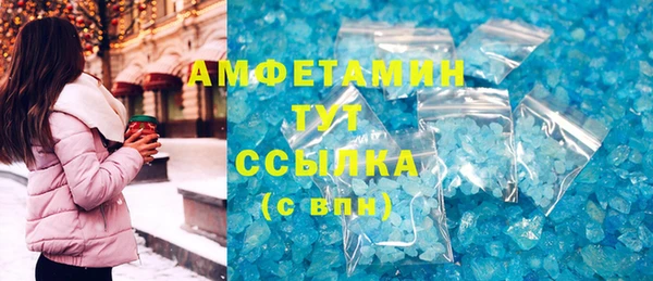 молекула духа Ельня
