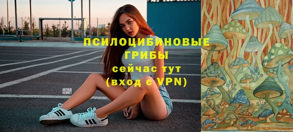 spice Гусиноозёрск