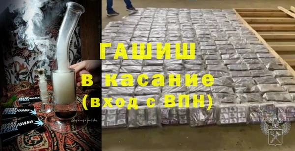 молекула духа Ельня