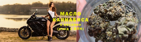 молекула духа Ельня