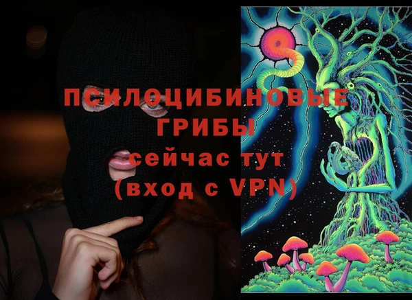 гидропоника Елизово