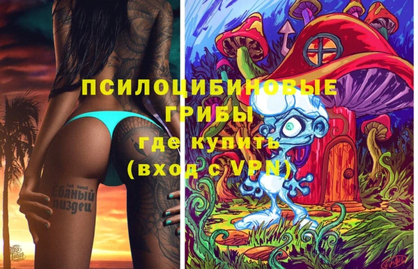 сатива Гусев