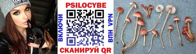 наркошоп  Дигора  Галлюциногенные грибы Cubensis 