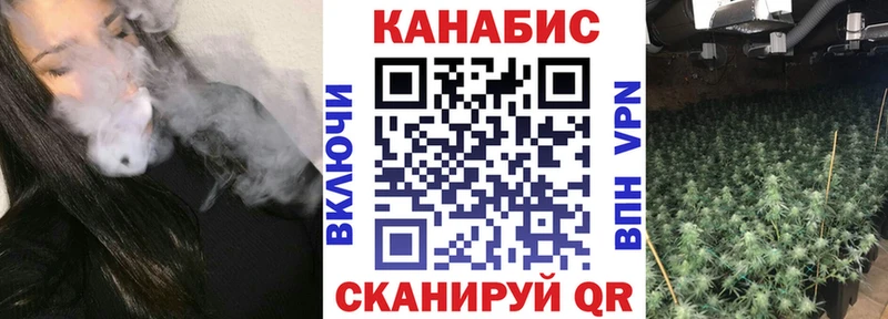 Бошки Шишки тримм  Дигора 